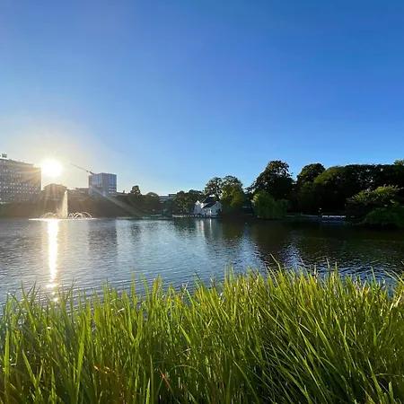 1 Cozycentral 2 By Berti