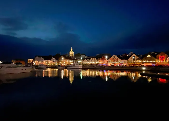 1 Cozycentral 2 By Berti